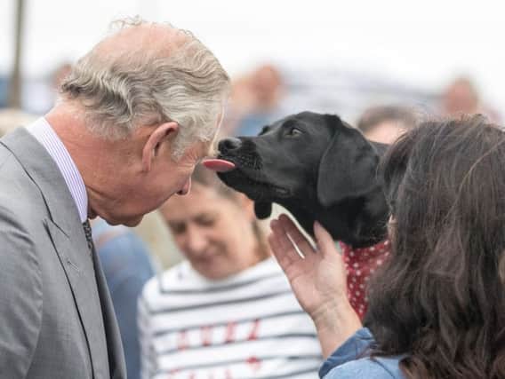 Bella meets Prince Charles in Cornwall. (Photo: PA).