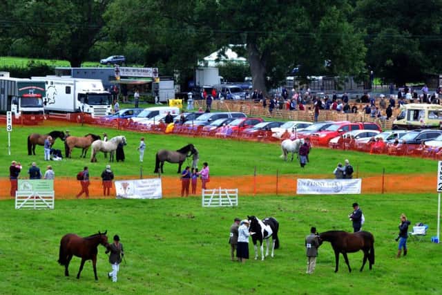 Equine classes attracted more than 800 entries.