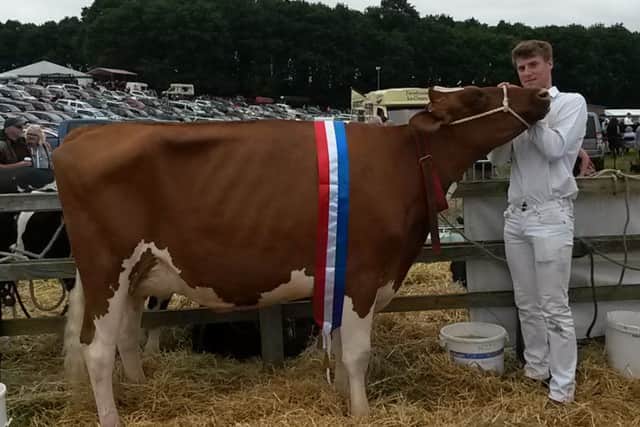 James Wood shows his family's supreme dairy champion, Manor Haven Barbed Wire Ashlyn.
