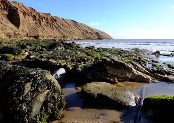 Filey Brigg in the sunshine. Picture by Neil Silk.