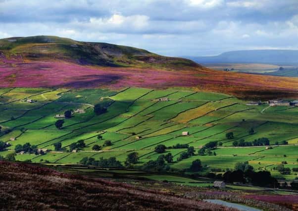 The authority that looks after the Yorkshire Dales National Park is forecast to have seen its government grant funding slashed in real terms by two-fifths in a decade.