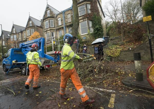 Members of the public look on as contractors cut down a tree in Rustlings Road. Photo credit: Danny Lawson/PA Wire
