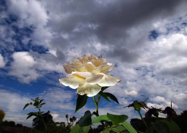 Should Yorkshire have its own parliament?