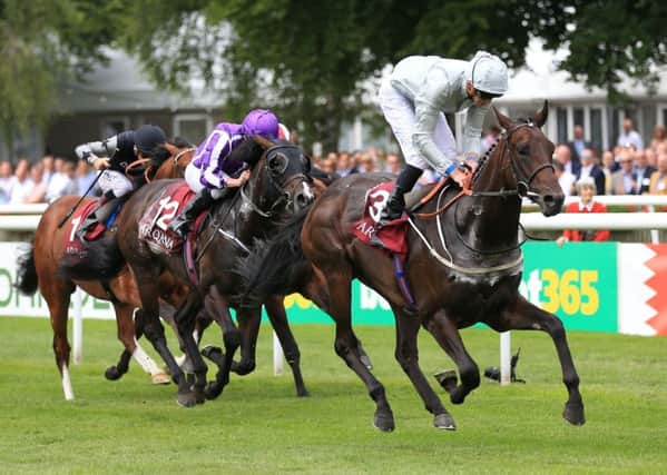 One to watch: Cardsharp and Jamie Doyle winning the  July Stakes at Newmarket.