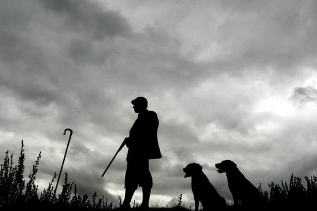 The Glorious Twelfth, August 12, makes the start of the grouse shooting season.
Picture: Andrew Milligan/PA Wire