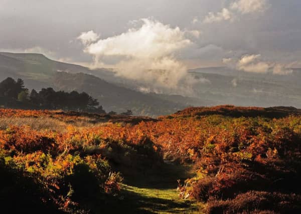 Ilkley Moor. Picture:
Glen Minikin