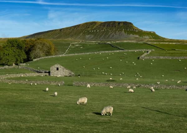 A Dales landscape by photographer James Hardisty...Brexit provides an opportunity to reshape British agriculture. What should be the priorities?