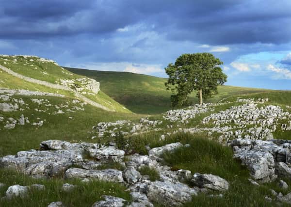 Will more trees enhance Yorkshire's urban and rural environment?