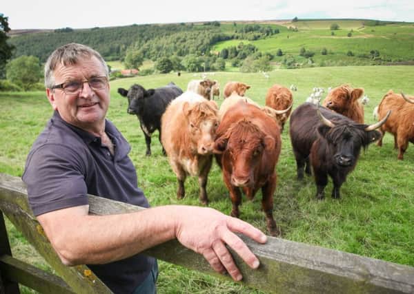 Farmer Graeme Thompson who has highland cattle and sheep in Danby and also works at Botton Farm.   Picture: Ceri Oakes