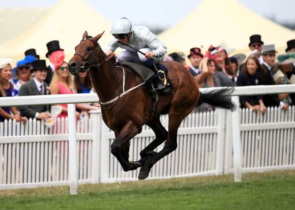Permian ridden by Jockey William Buick wins the King Edward VII Stakes during day four of Royal Ascot at Ascot Racecourse. (Picture: John Walton/PA Wire)