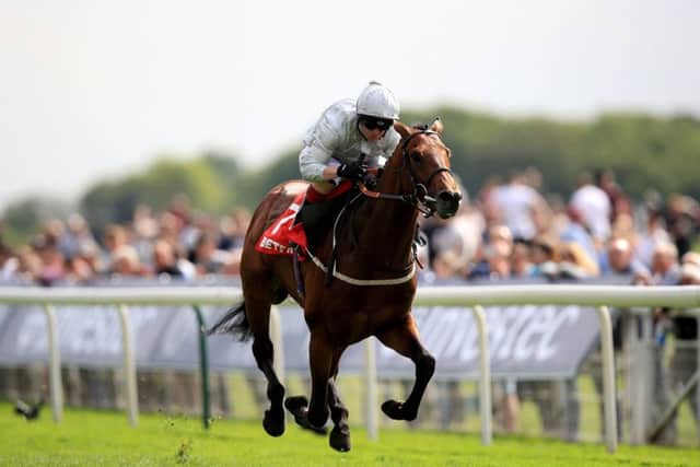 Permian ridden by jockey Franny Norton wins the Betfred Dante Stakes in May.