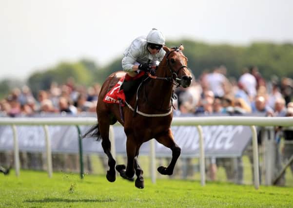 Permian, ridden by jockey Franny Norton, was fatally injured in a fall on Saturday. (Picture: PA)