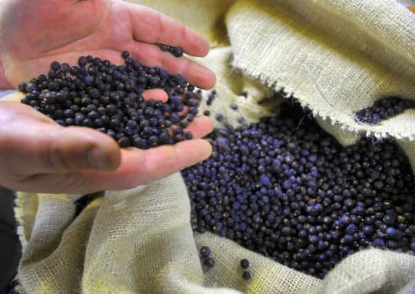 Today gin is made with juniper berries imported from Eastern Europe, writes Roger Ratcliffe.