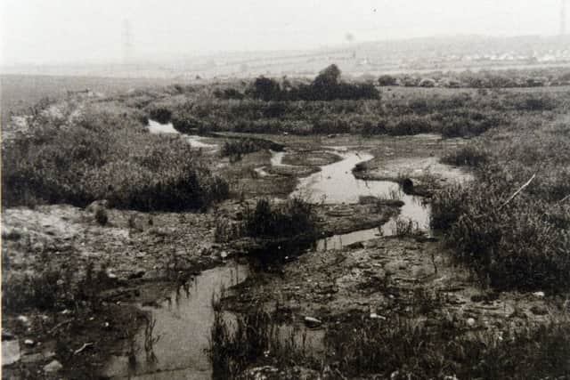 The canal in the 1970s, when it was reduced to a bog.
