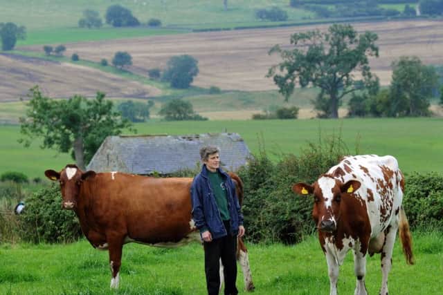 Alex Wilkes has had Dairy Shorthorns since 1989.