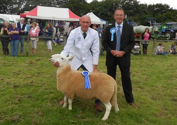 James Metcalfe, pictured with one of his prize winning sheep, said Hope Show's North Country Cheviot national championships class had attracted lots of interest from farmers nationwide.