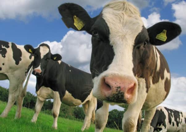 Ninety-five per cent of British milk is produced to Red Tractor standards.