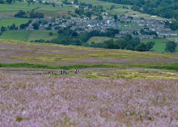 The moors above Leyburn - is grouse shooting good for the environment?