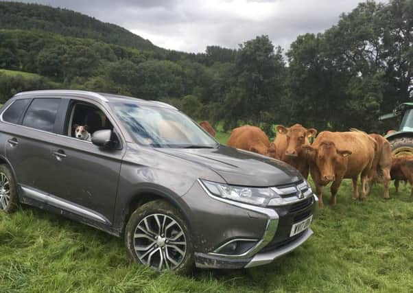 Julian faced an off-road mystery ride to reach the stricken cow.
