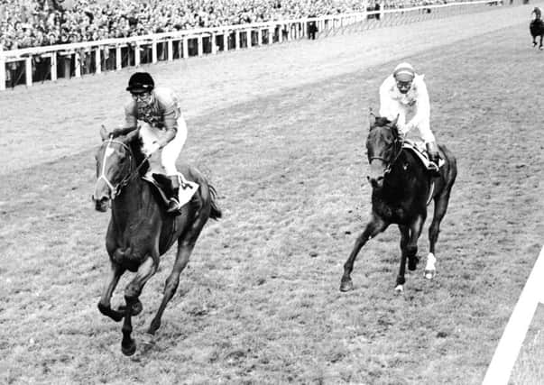 On Her Majestys service: Dunfermline, left, ridden by Willie Carson, beats Alleged, ridden by Lester Piggott, to win the 1977 St Leger at Doncaster Racecourse. (Picture: S&G and Barratts/EMPICS Sport)
