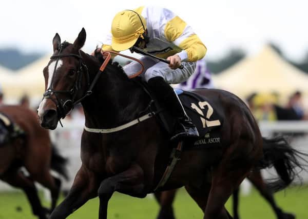 Quiet Reflection ridden by jockey Dougie Costello on the way to winning the Commonwealth Cup don day four of Royal Ascot last year. Picture: David Davies/PA.