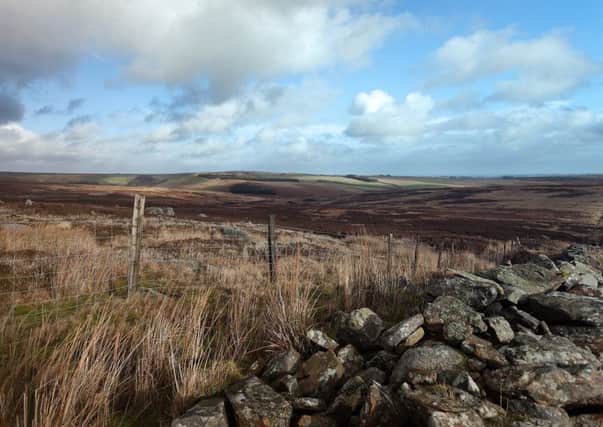 Grand view: Humberstone Bank Farm covers 900 hectares of moorland.