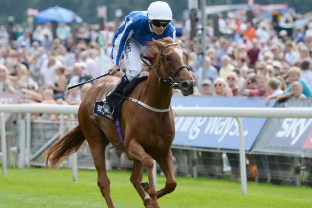 Sprint choice: Queen Kindly will be ridden by Paul Hanagan in the Haydock feature.