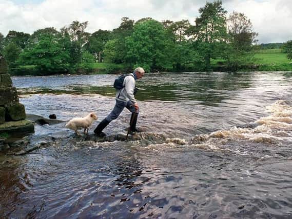The stepping stones on the River Wharfe near Burley.