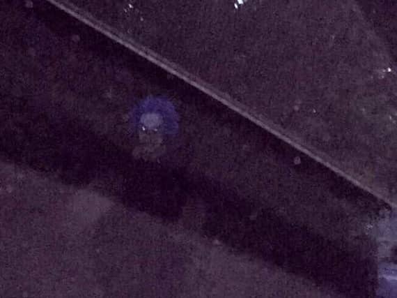 Logan Fox, of Norton Lees, spotted the'clown', dressed all in black and with a creepy purple mask, as he was driving down Matthews Lane, Graves Park at around 8.30pm last night. Picture: Logan Fox