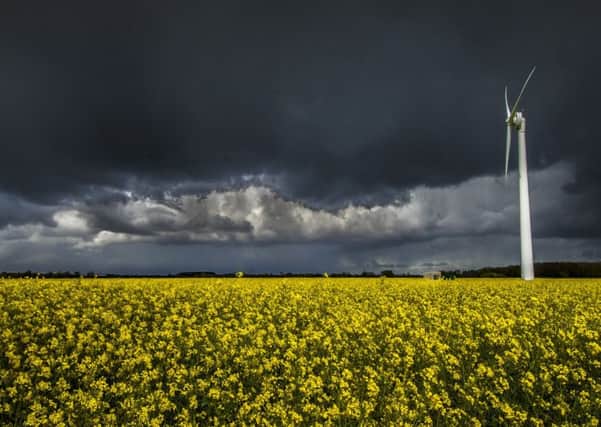 A stormy sky overshadows an oilseed rape field near Eastrington, East Yorkshire,and a  large white wind turbine.
Picture: James Hardisty