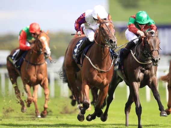 Laurens storms ahead to win the big race of the day at Doncaster (Photo: PA)