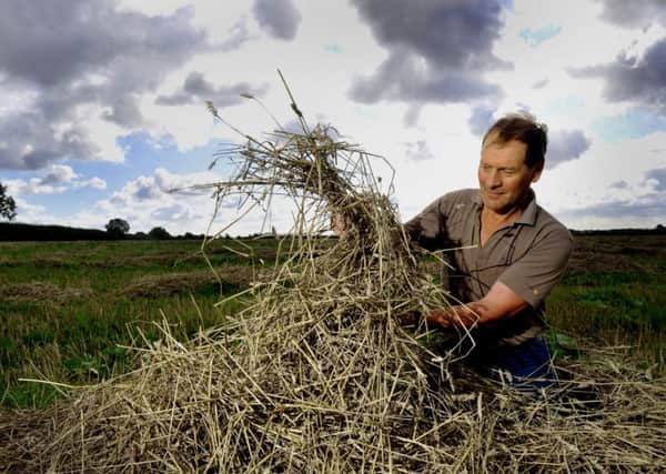 Richard Thompson covering his planted organic potatoes with straw at York Grounds Farm. Picture by Gary Longbottom.