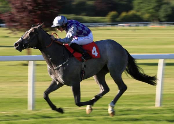 Havana Grey ridden by P.J. McDonald comes home to win Better Odds With Matchbook National Stakes at Sandown Park in May.
