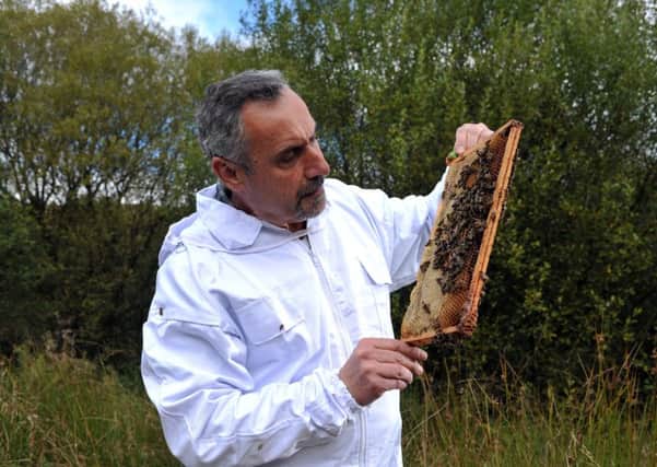 Syrian refugee and bee keeping expert Dr Ryad Alsous. Picture Tony Johnson.