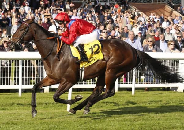 Take Cover, ridden by David Allan, wins the Dubai Airport World Trophy Stakes at Newbury (Picture: Julian Herbert/PA Wire).
