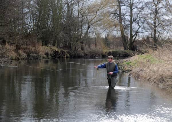 Jim Gurling of Ryedale Anglers Club fishing the Harome stretch of the River Rye.

Picture by Gerard Binks.