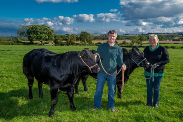 Jackie also looks after cattle at the family farm at Spennithorpe, near Leyburn. She is pictured here holding a British Blue, whilst her husband Robert, holds a Limousin heifer.