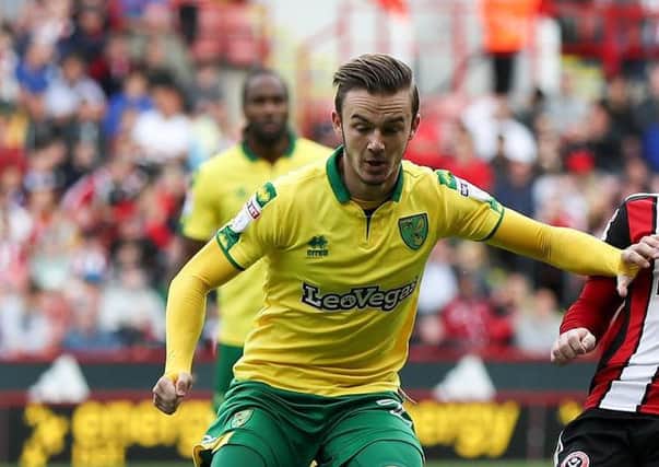 James Maddison scored an early winning goal for Norwich to sink Middlesbrough