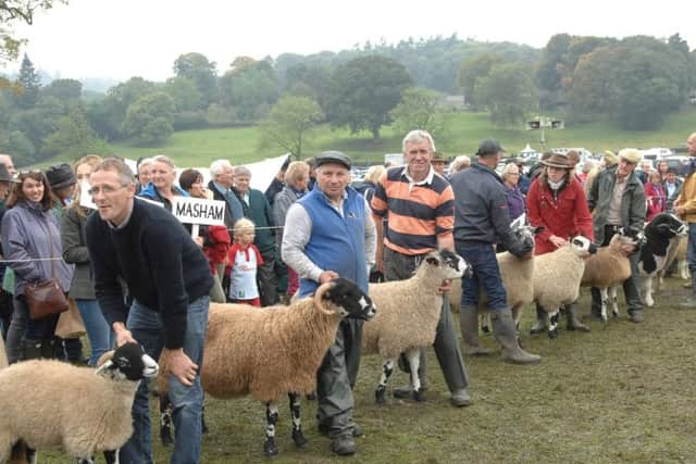 Sheep entries were up by as much as 25 per cent, organisers said.