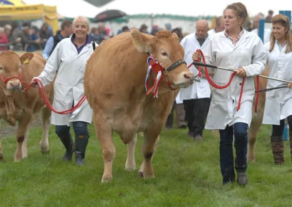 Nidderdale Show marks the end of the one-day summer show season in North Yorkshire.