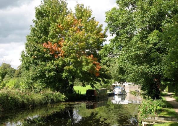 Ripon Canal