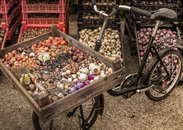 Autumn is the perfect time to plant bulbs in gardens to reap the benefits of cheery arrays of flower in the spring.