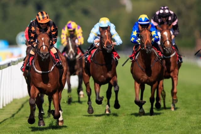 Paul Hanagan's pick: Crownthorpe, far left, is being lined up for Redcar's big race.