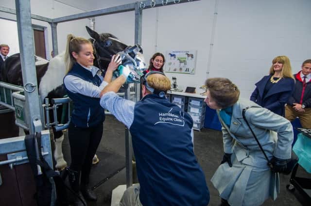 The Princess Royal watching a horse dental examination by vet Dr James Roxburgh and nursing assistant Francesca Ware during her visit to Hambleton Equine Clinic. Picture by James Hardisty.