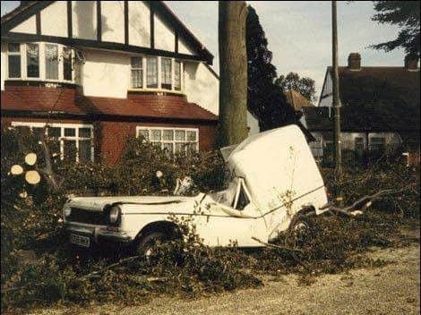 One of the devastating consequences of the "Great Storm" of 1987 in the South East