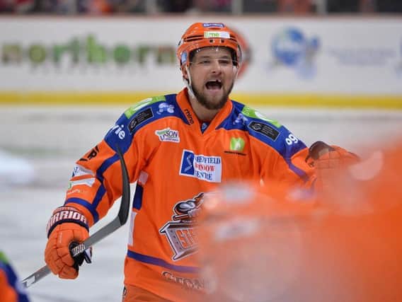 Matt Marquardt celebrates his second and Sheffield Steelers' fourth goal against Cardiff Devils on Saturday night. Picture: Dean Woolley