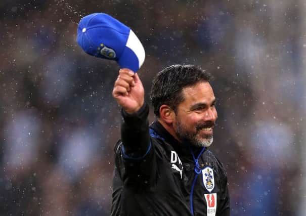Saluting the fans: Huddersfield Town head coach David Wagner celebrates.