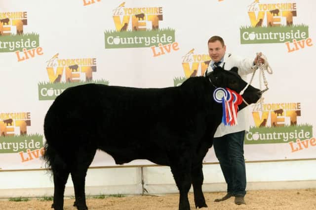Mark Harryman from Pickering with his reserve beef champion. Picture by Jonathan Gawthorpe.