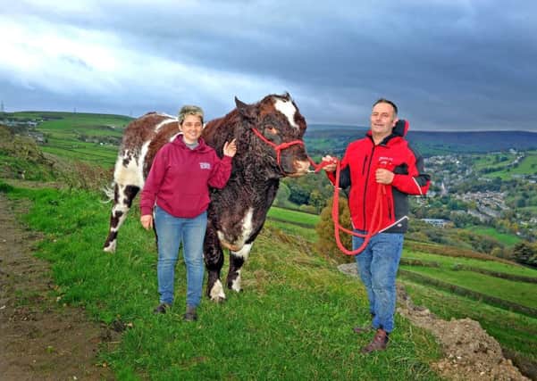 Mark and Tracy Severn with Millerston Jester, their champion bull. Picture Tony Johnson.
