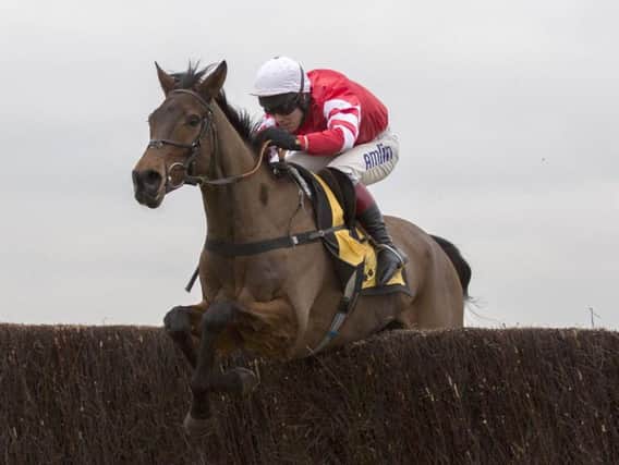 Coneygree won the 2015 Cheltenham Gold Cup as a novice